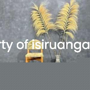 isiruangan Kursi Bar Minimalis Althea