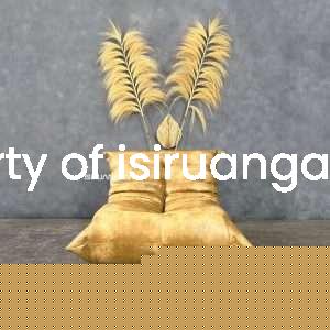 isiruangan sofa Unik Togo