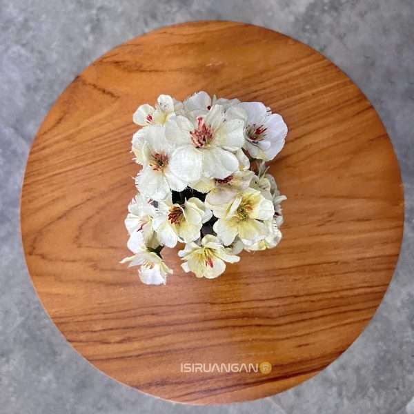 Meja Mossy Unik